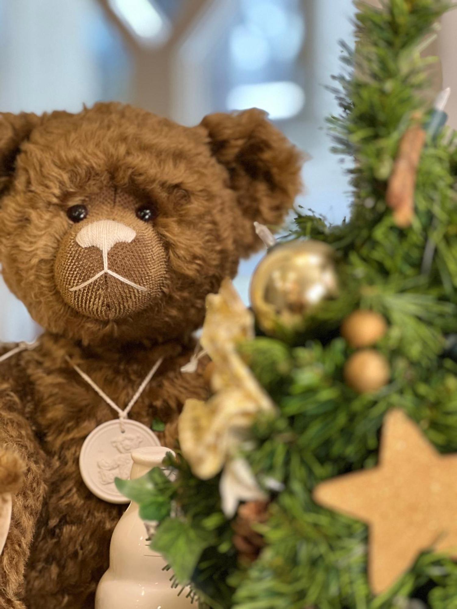 Teddybaerenhotel Кресброн Экстерьер фото
